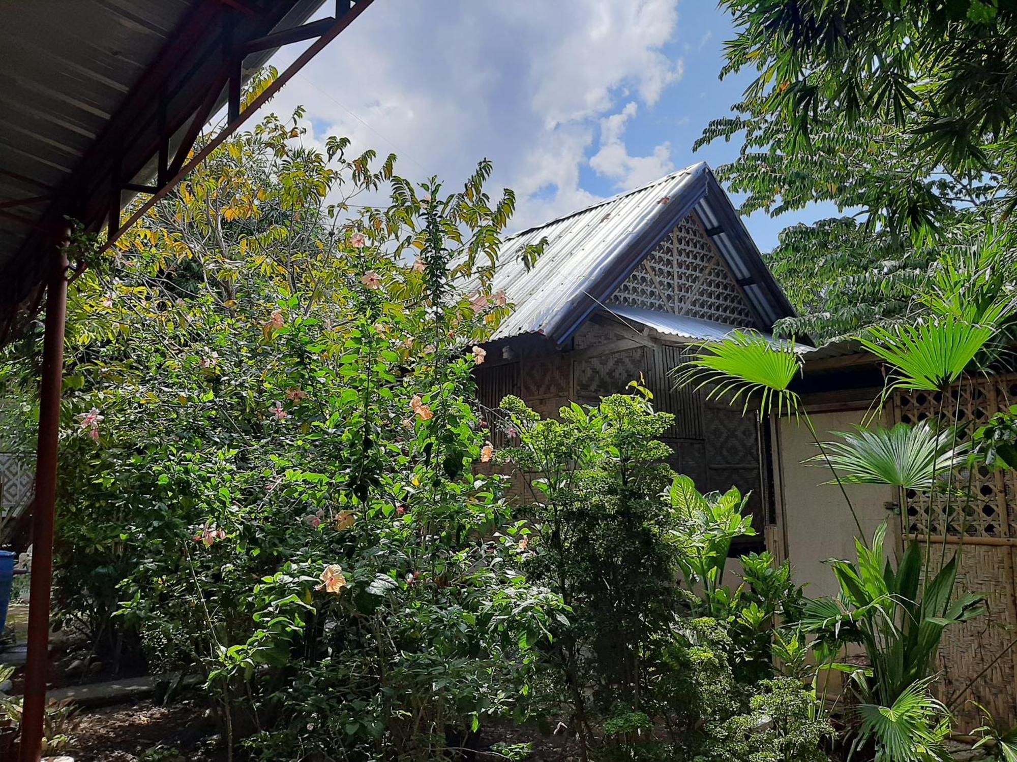 Alimpay Foresters Apartment ปางเลา ภายนอก รูปภาพ