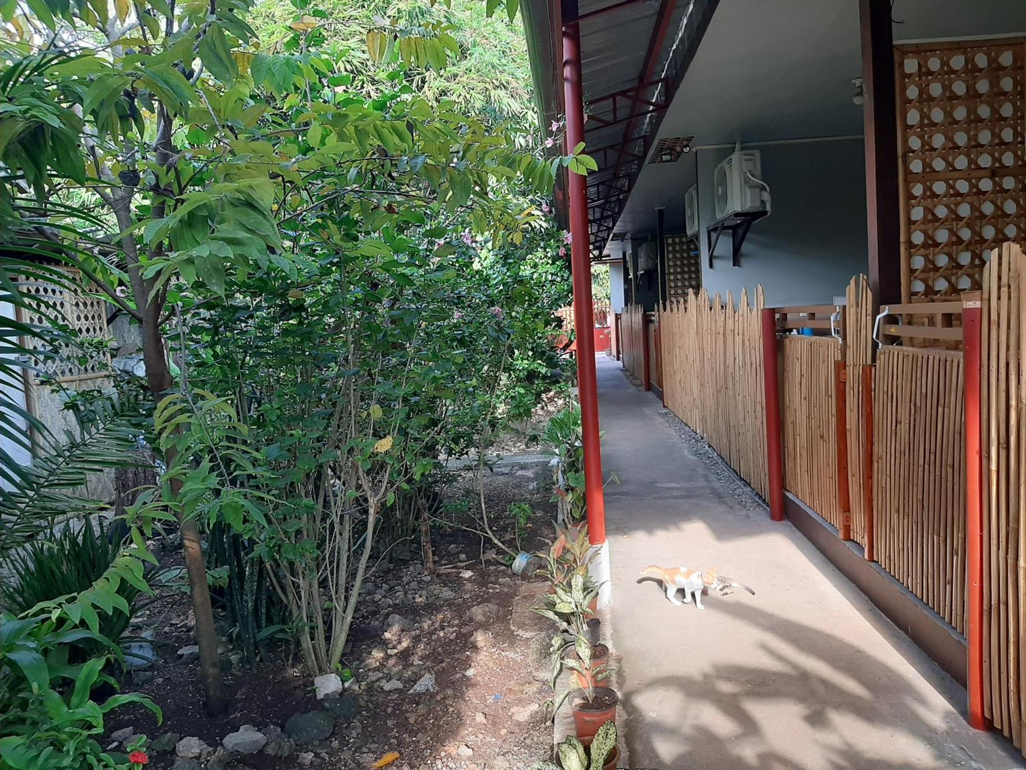 Alimpay Foresters Apartment ปางเลา ภายนอก รูปภาพ